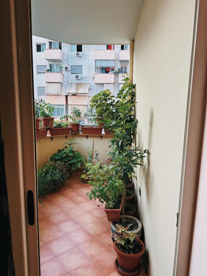 تيرانا Bed & Breakfast Mina المظهر الخارجي الصورة